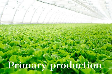 Primary Food Production