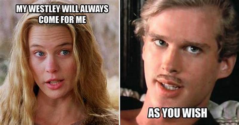 Princess Bride Meme As You Wish