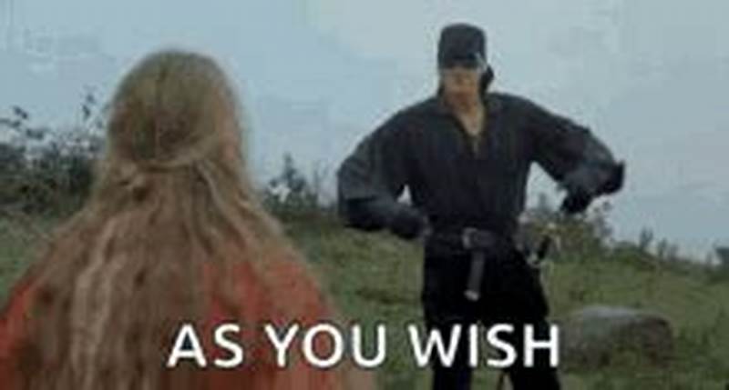 Princess Bride Your Wish Is My Command