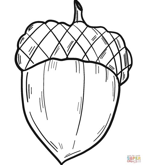 Printable Acorn Coloring Pages