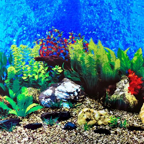 Printable Aquarium Backgrounds Fish Tanks