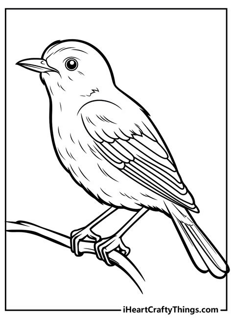Printable Bird Pictures