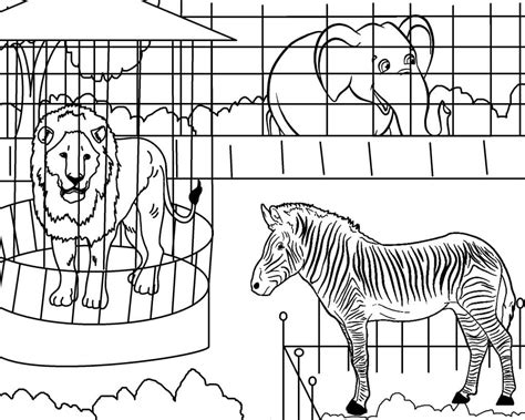 Printable Coloring Pictures Of Zoo Animals