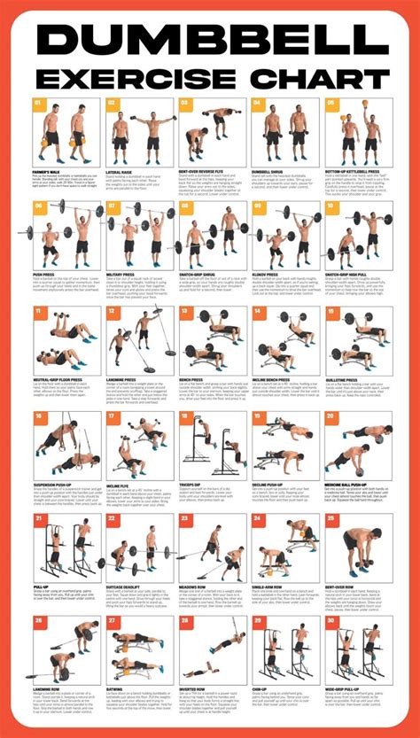 Printable Dumbbell Workouts