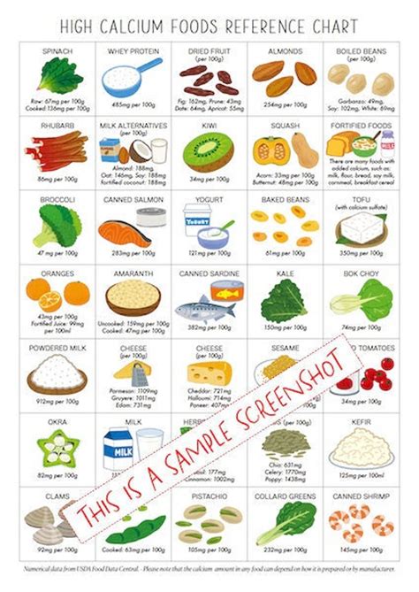 Printable High Calcium Foods Chart