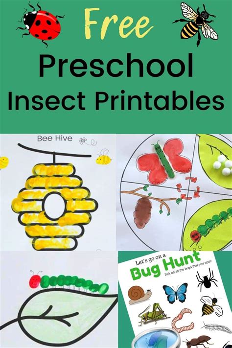 Printable Insect Activities For Preschoolers