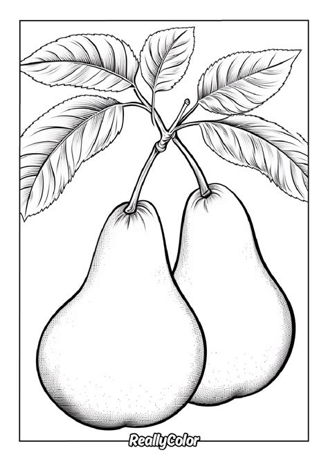 Printable Pears