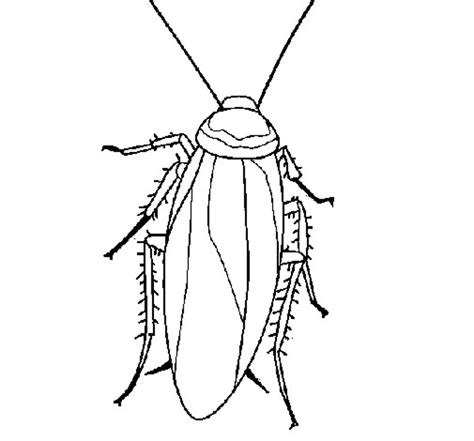Printable Roach