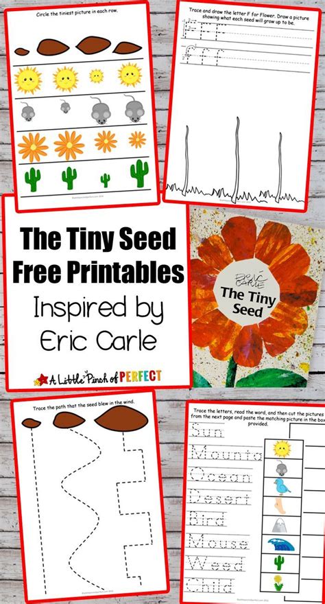 Printable The Tiny Seed Activities