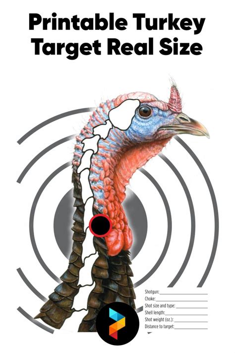 Printable Turkey Target