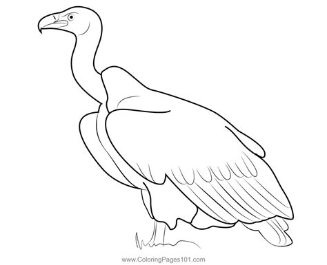 Printable Vulture