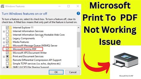 Printer Not Printing PDF
