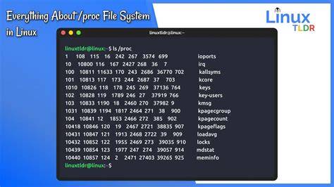 Proc Directory