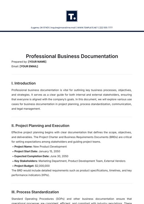 Professional Documentation Template