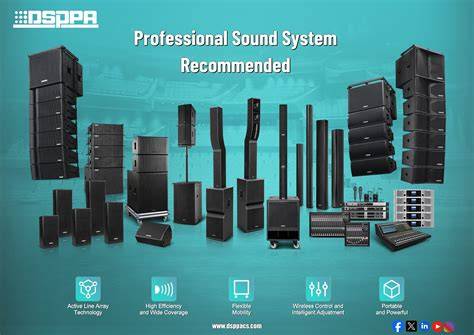 Professional sound system setup