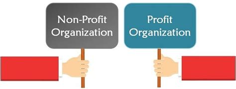 Profit vs. Non-Profit Organizations: Navigating the Differences and Synergies
