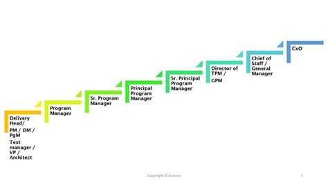 Program Manager Career Path