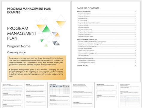 Program Plan Template