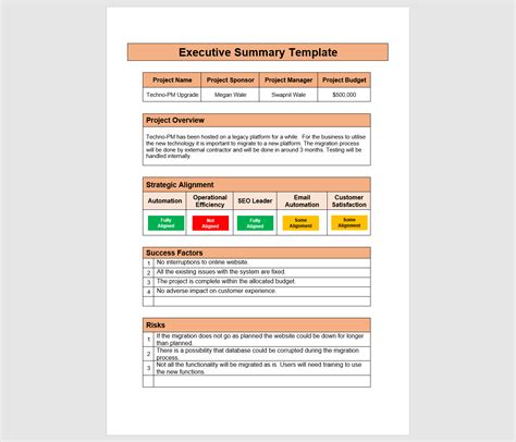 Project Executive Summary Template Word