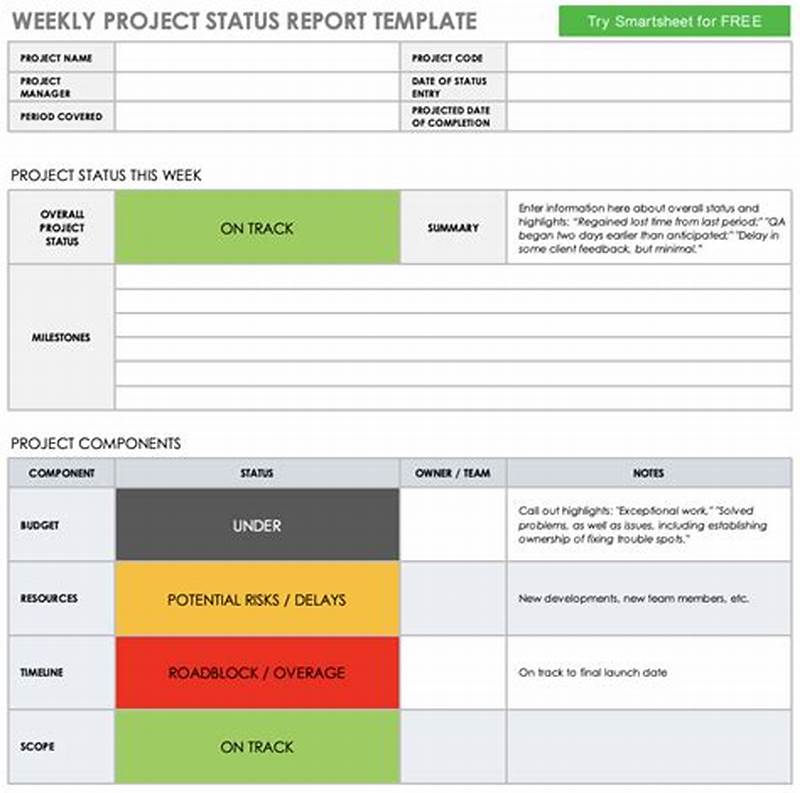 Project Management Project Status Report Template