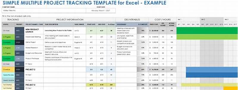 Project Tracking Excel Template