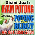 Promosi Bisnis Ayam Potong