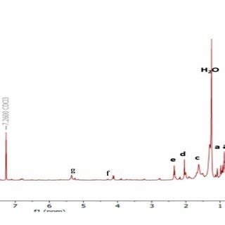 Proses Eksperimen NMR