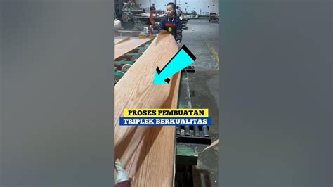 Proses Pembuatan Triplek