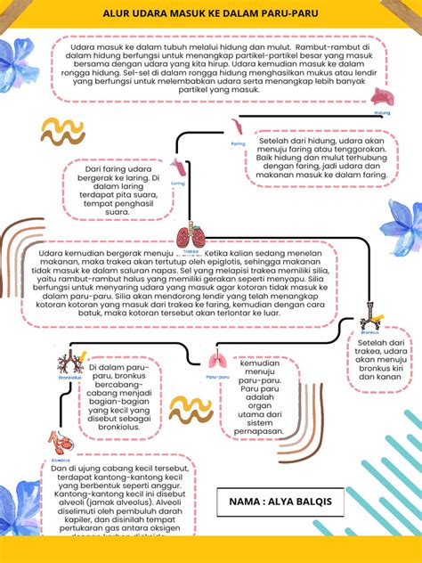 Proses Pernapasan Udara Komplementer