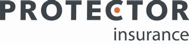 Protector Insurance Claims