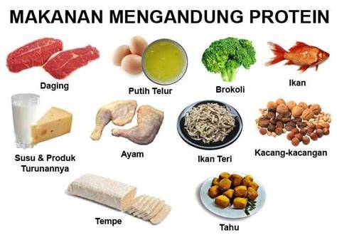 Protein dalam makanan