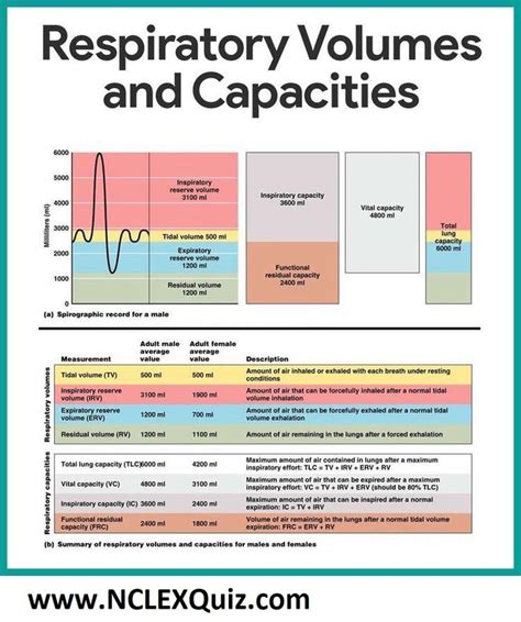 Pulmonary Function Test Results Chart
