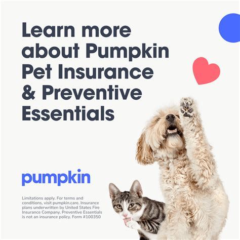 Pumpkin Pet Insurance