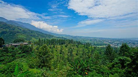 Puncak