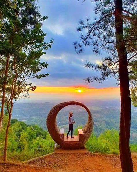 Puncak Pinus Becici Sunset