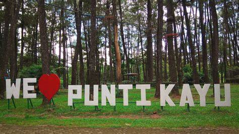 Punti Kayu (Palembang)