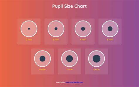 Pupil Sizes Chart Mm