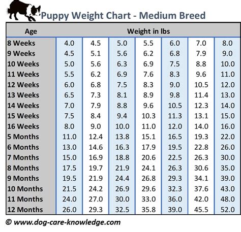 Puppy Growth Chart Medium Breed