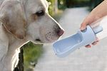 Puppy Water Bottle