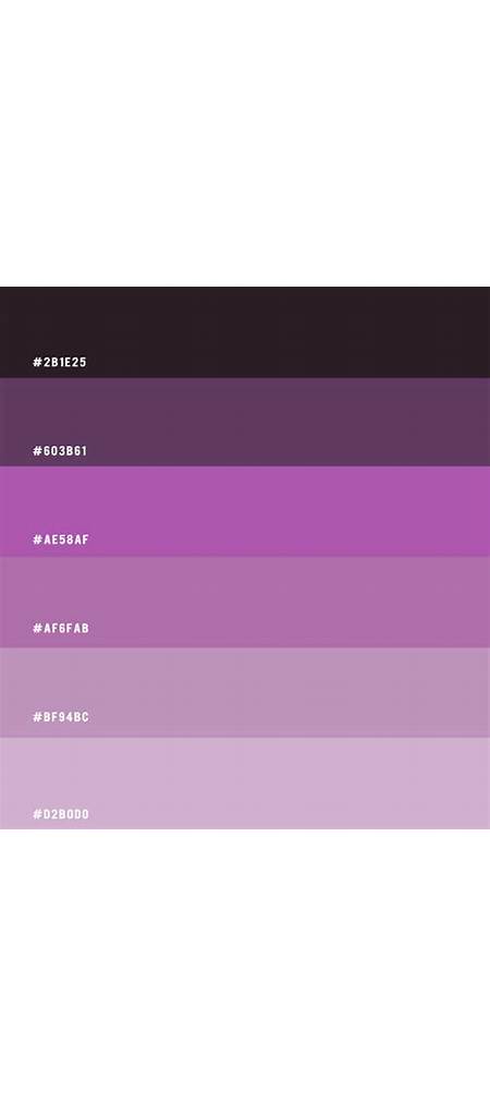 Purple Vs Lilac