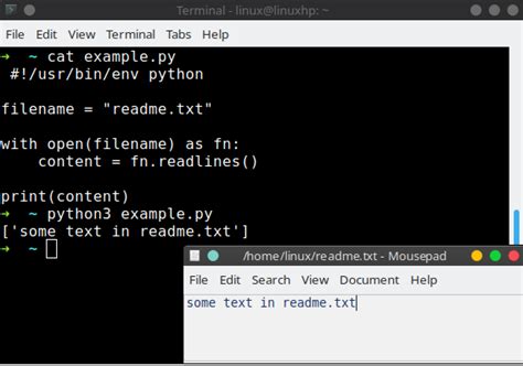 Python Read Bed File