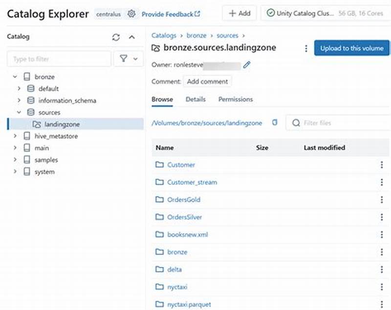 Query Data Locally From A Databricks Catalog