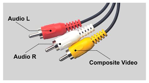 RCA audio video connector types