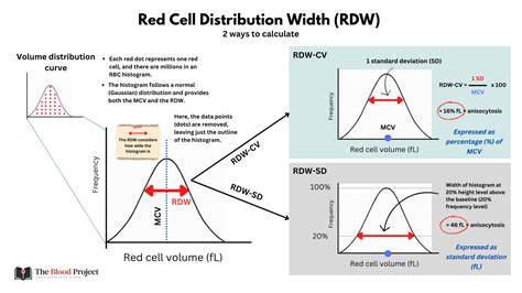 RDW-CV Chart Example