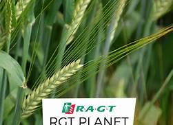 RGT Planet Spring Barley