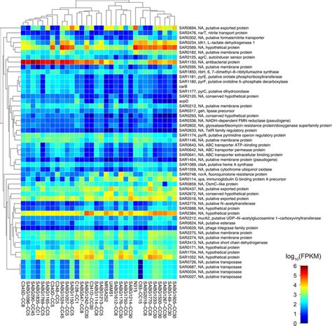 RNA-Seq