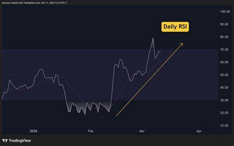 RSI PI Network