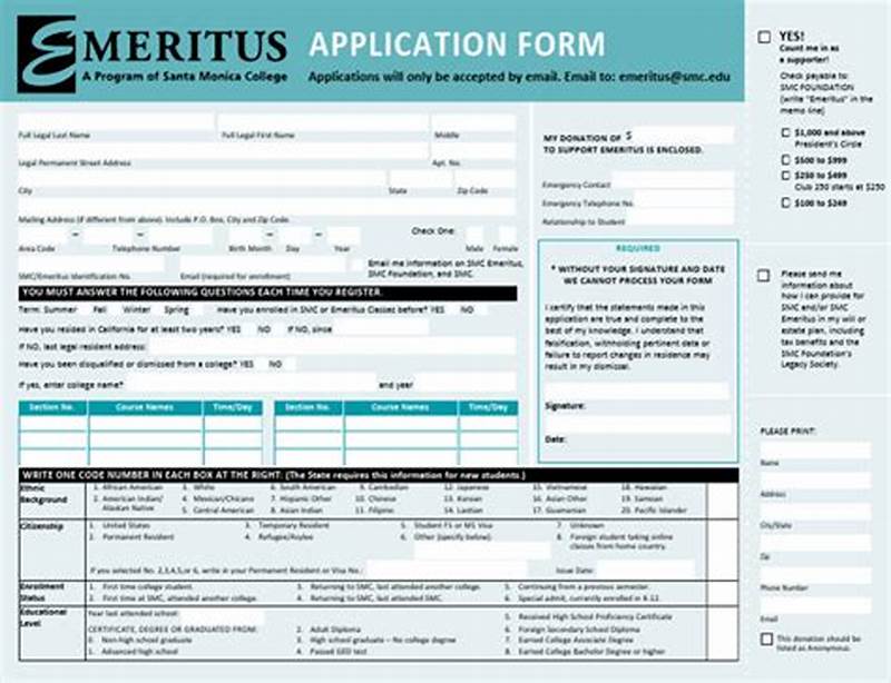 Race Meaning In Application Form Example