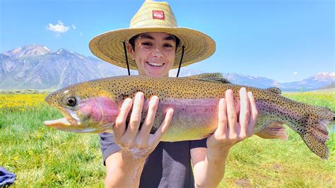 Rainbow Trout Fresno