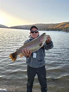 Rainbow Trout in Lake Hemet